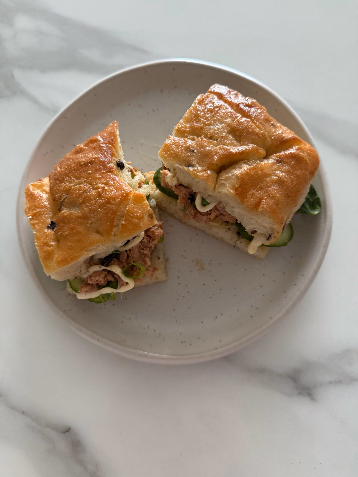 Tuna Burger